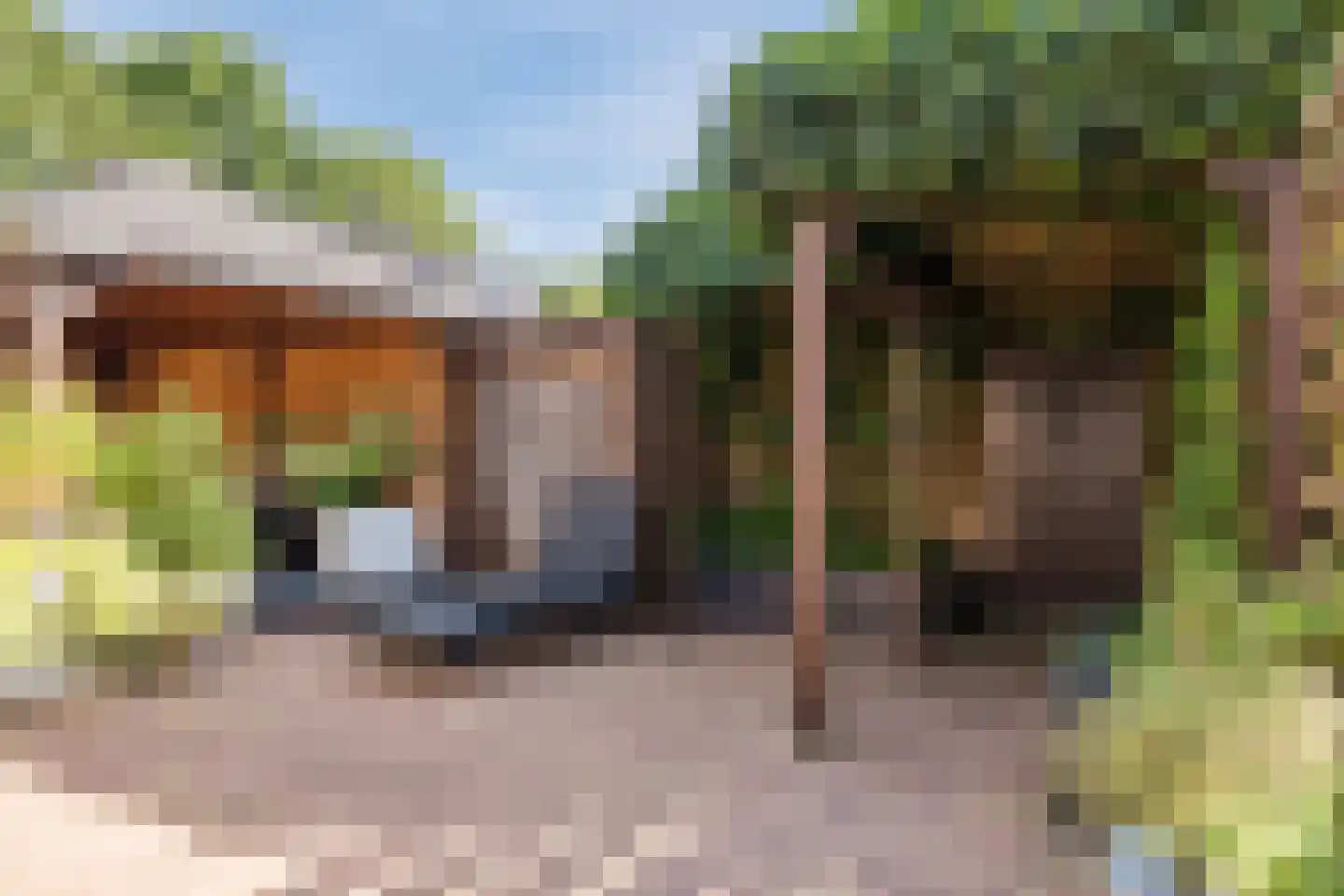 Zonnedauwstraat 6 2e Exloërmond thumbnail 55