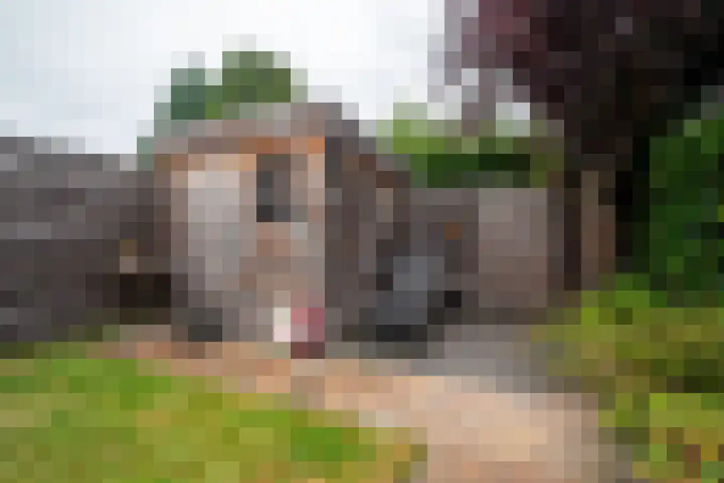 Zonnedauwweg 32 Haren Gn thumbnail 43