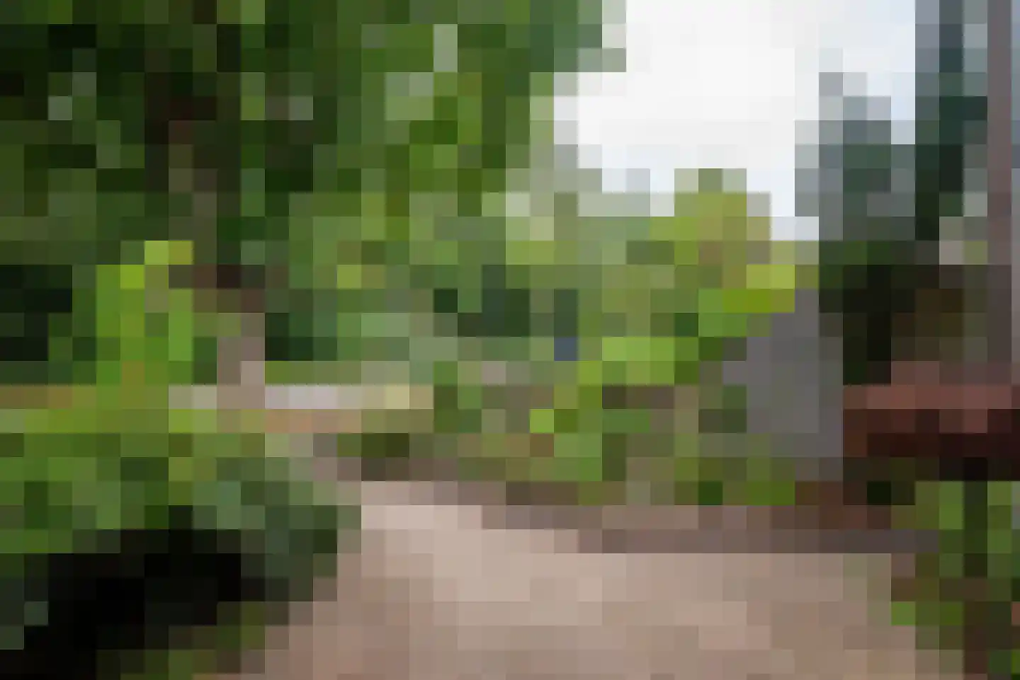 Zonnedauwweg 32 Haren Gn thumbnail 8