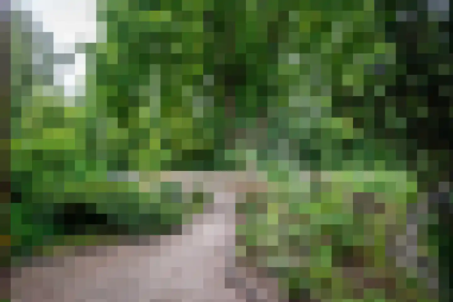 Zonnedauwweg 32 Haren Gn thumbnail 9