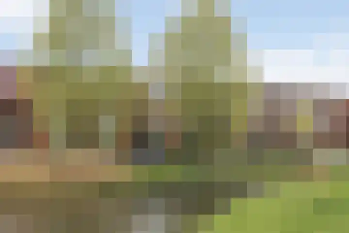 Zonnedauwweg 75 in Arnhem