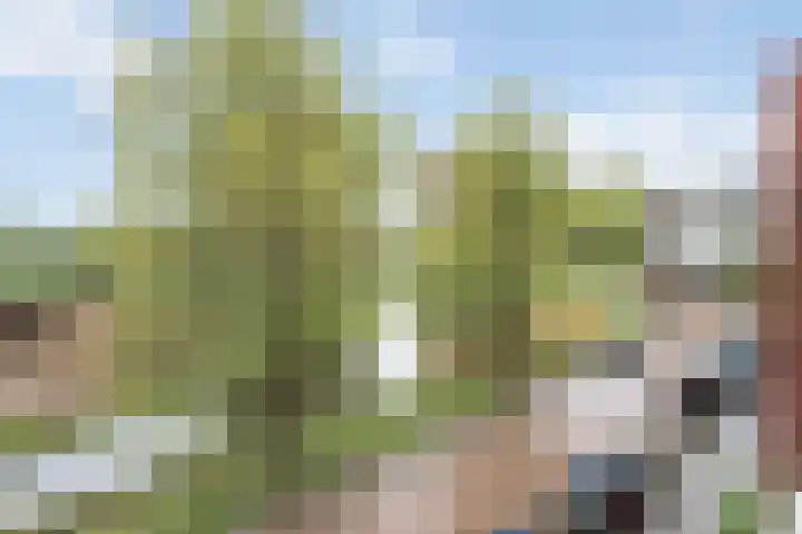 Zonnedauwweg 75 Arnhem thumbnail 38
