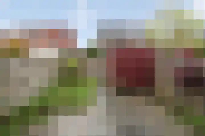 Zonnedauwweg 75 Arnhem thumbnail 39
