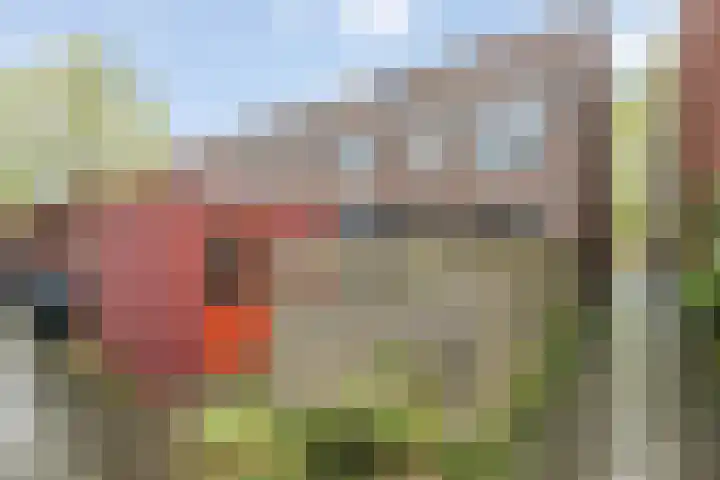 Zonnedauwweg 75 Arnhem thumbnail 42