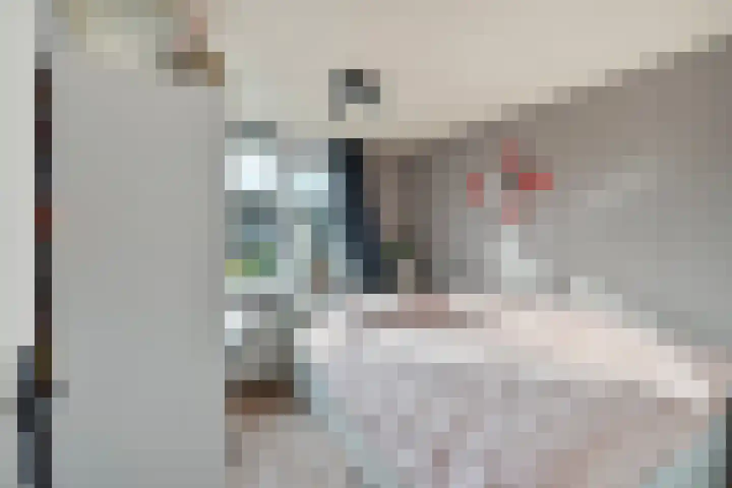 Zonnegaarde 65 Zoeterwoude thumbnail 22