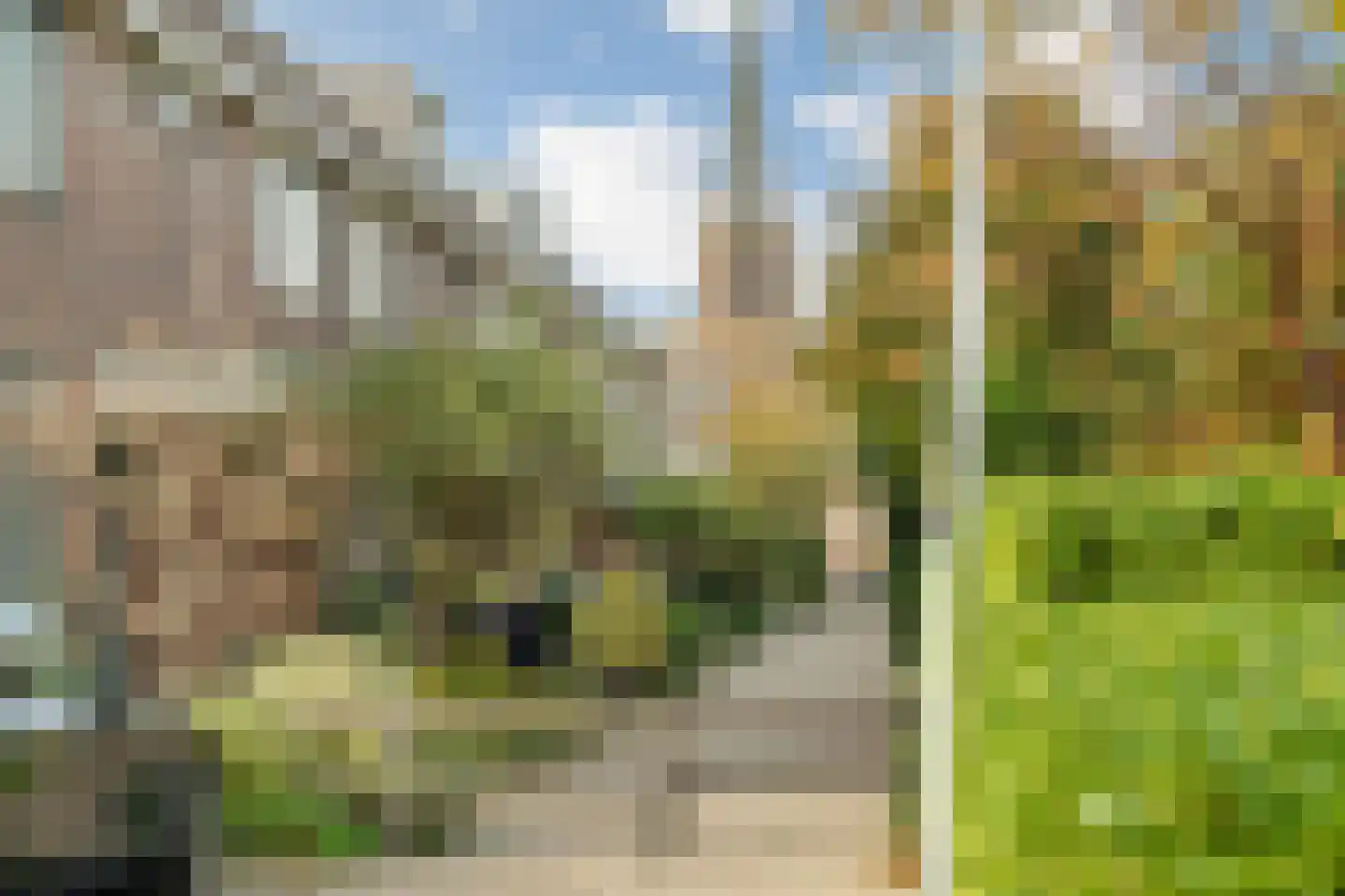 Zonnegaarde 65 Zoeterwoude thumbnail 41