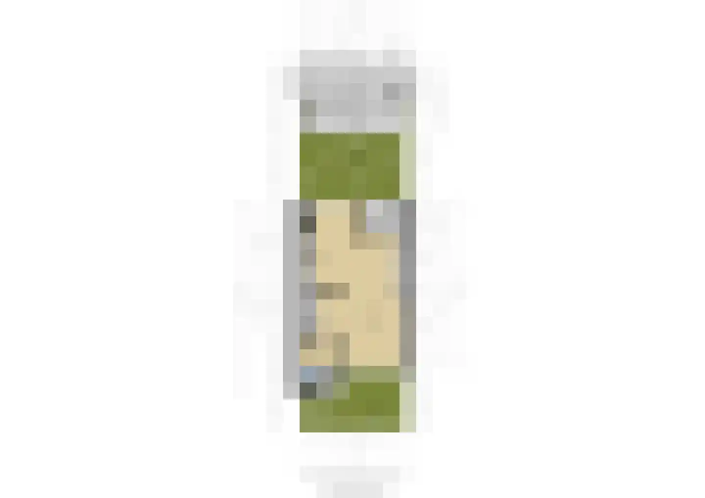 Zonnegaarde 65 Zoeterwoude thumbnail 48