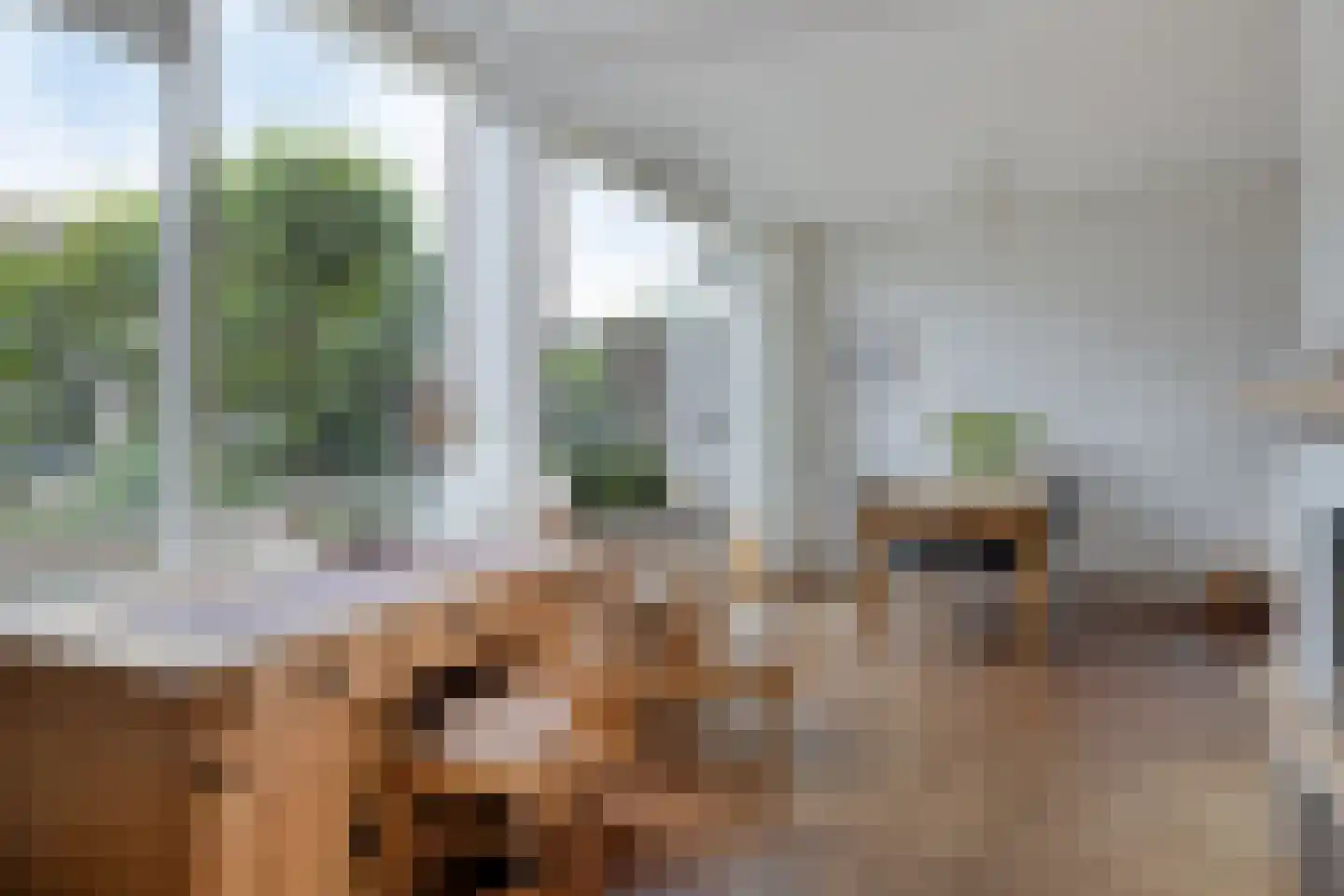 Zonnegaarde 71 Zoeterwoude thumbnail 19