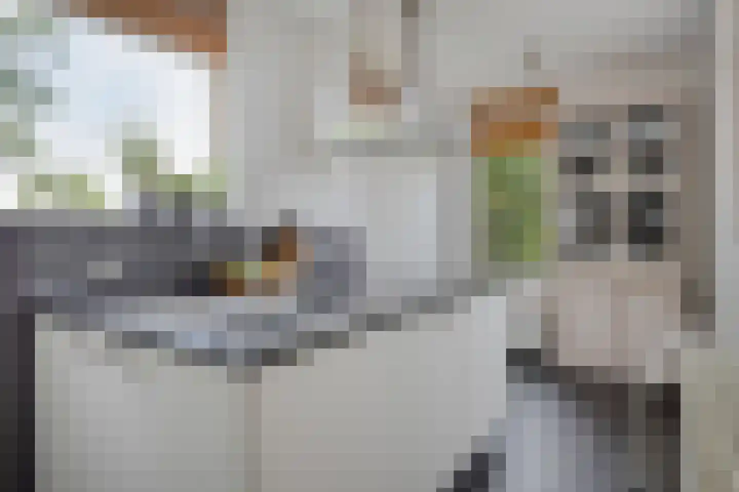 Zonnegaarde 71 Zoeterwoude thumbnail 19