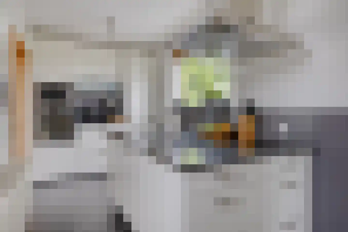 Zonnegaarde 71 Zoeterwoude thumbnail 22