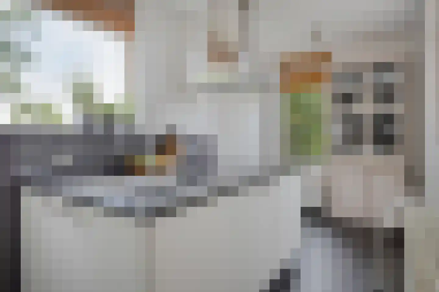 Zonnegaarde 71 Zoeterwoude thumbnail 23