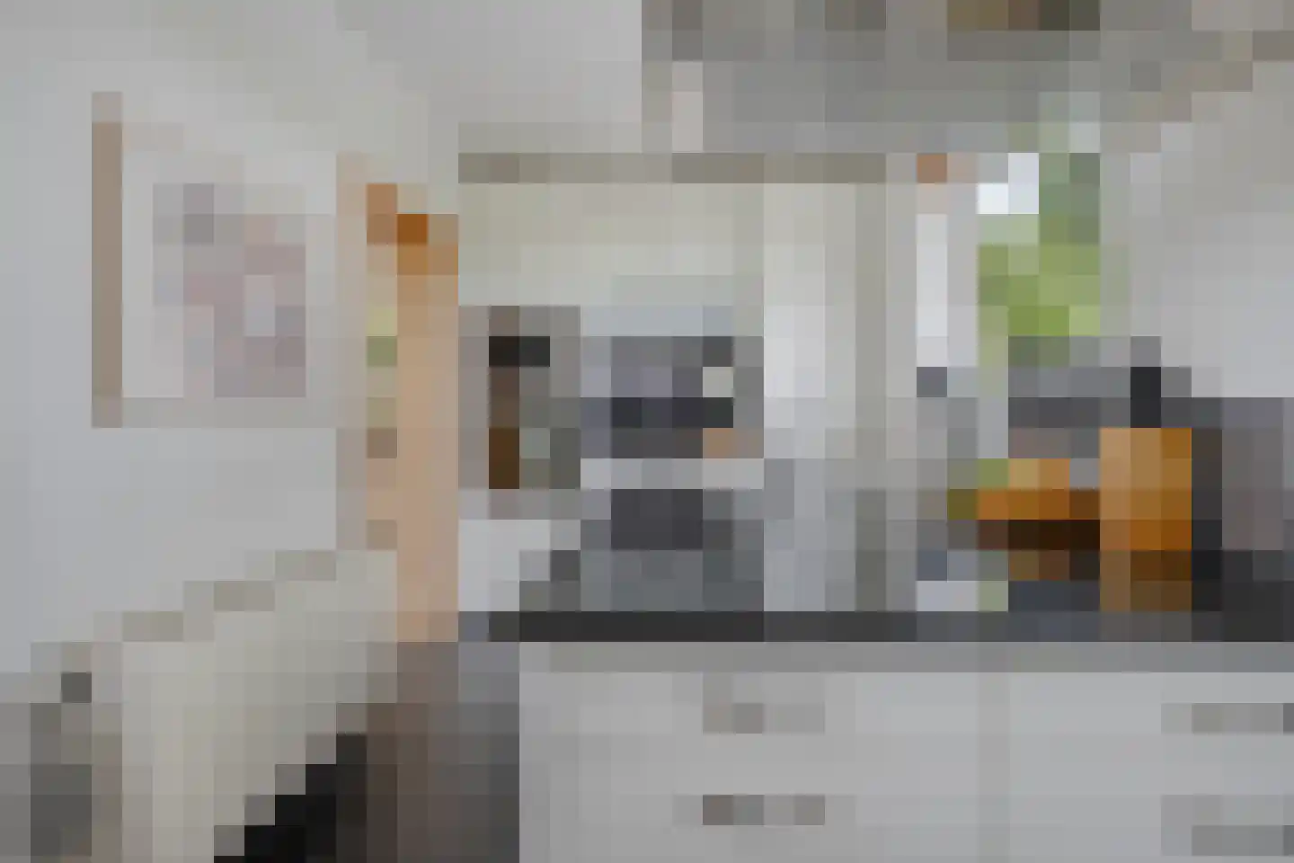 Zonnegaarde 71 Zoeterwoude thumbnail 24