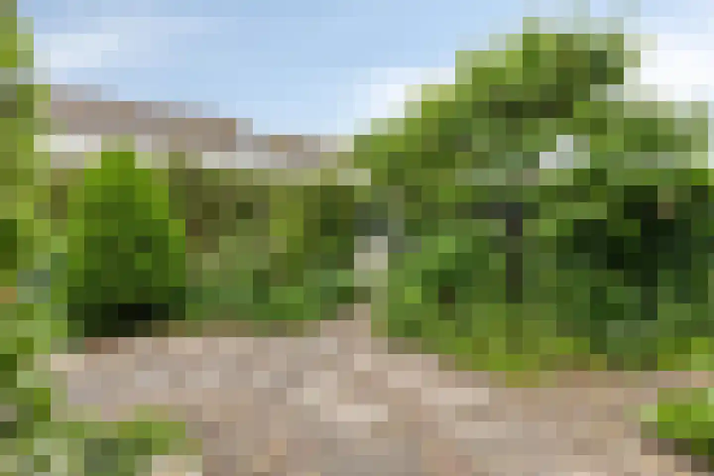 Zonnegaarde 71 Zoeterwoude thumbnail 41