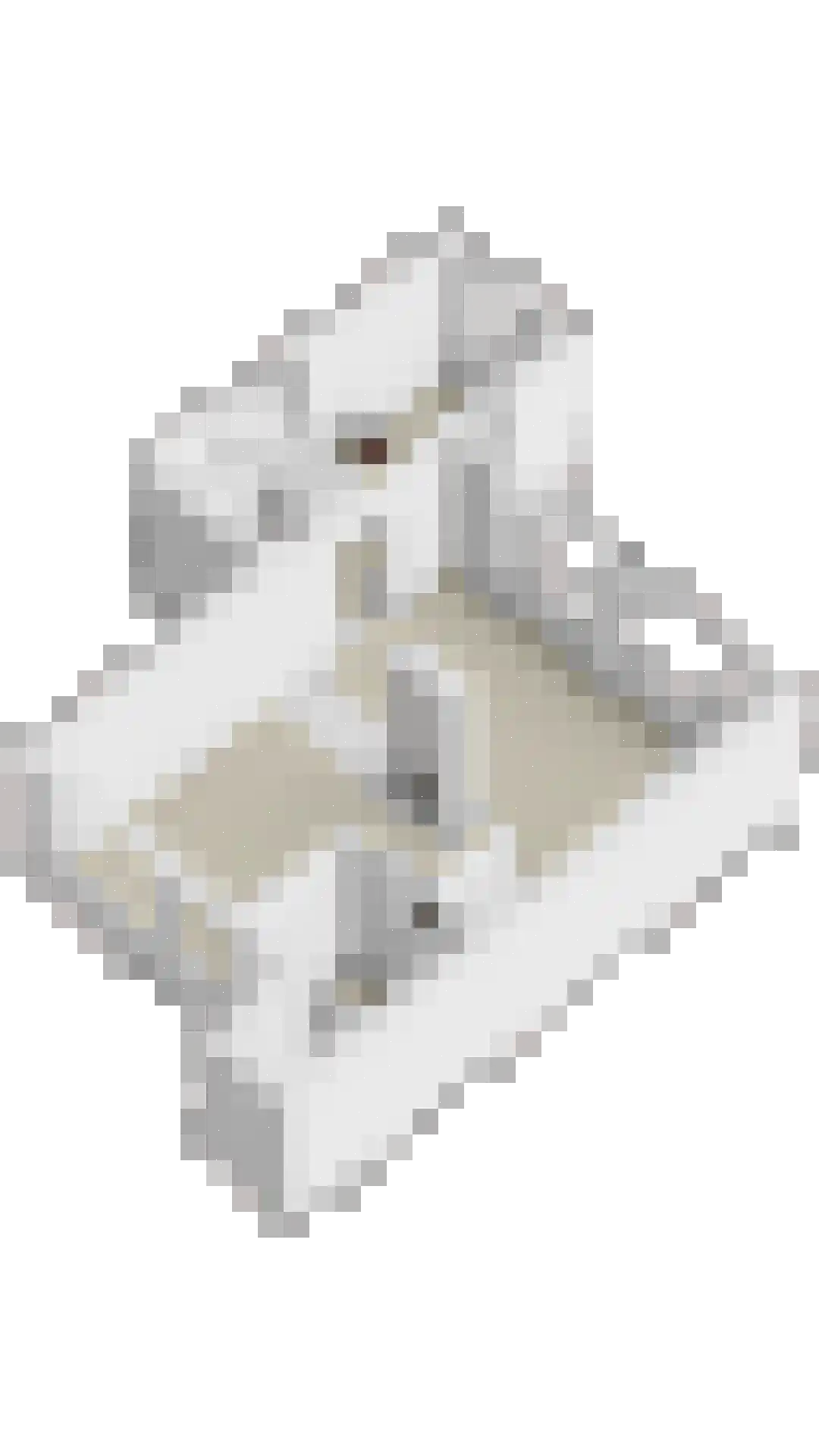 Zonnegaarde 71 Zoeterwoude thumbnail 47