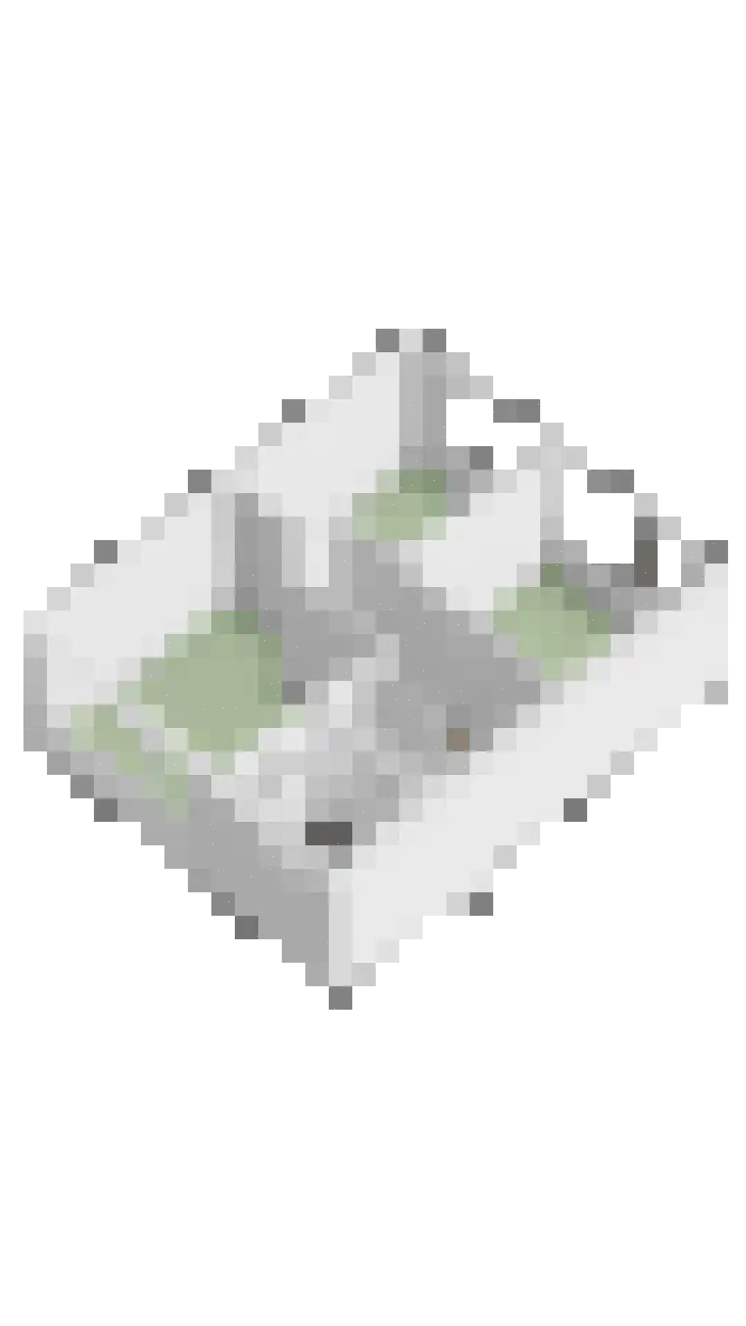 Zonnegaarde 71 Zoeterwoude thumbnail 49