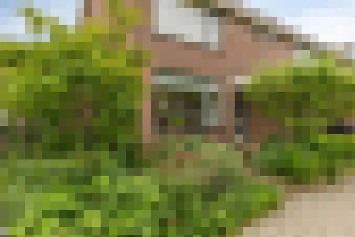 Zonnegaarde 71 Zoeterwoude thumbnail 8