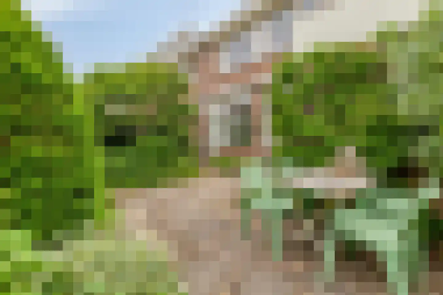 Zonnegaarde 71 Zoeterwoude thumbnail 9