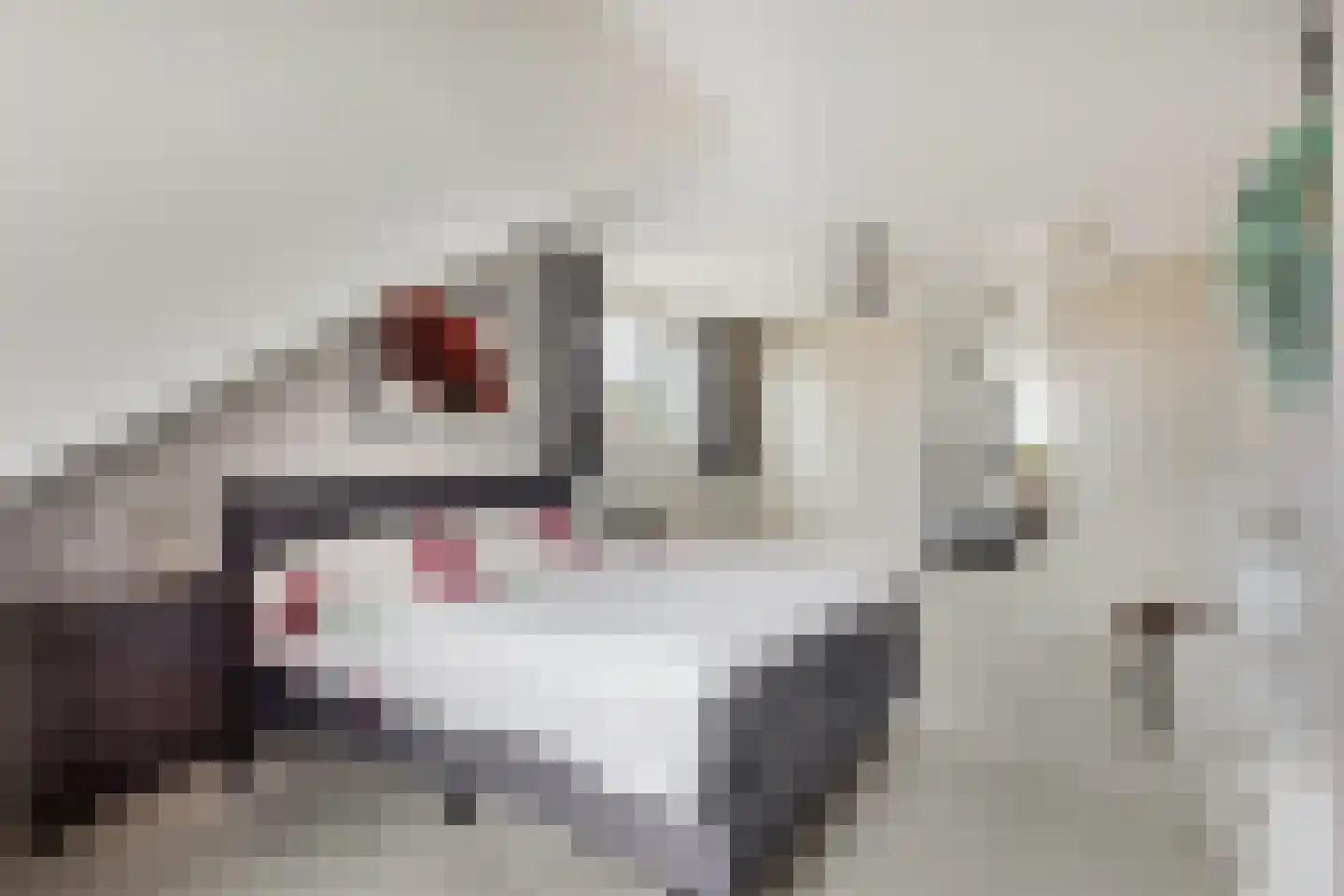 Zonnegaarde 73 Zoeterwoude thumbnail 16