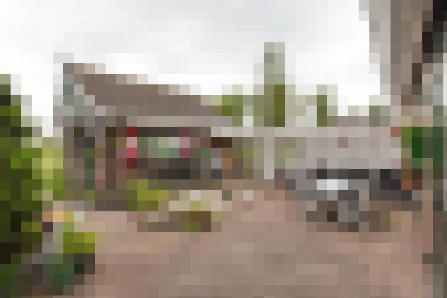 Zonnegaarde 73 Zoeterwoude thumbnail 21