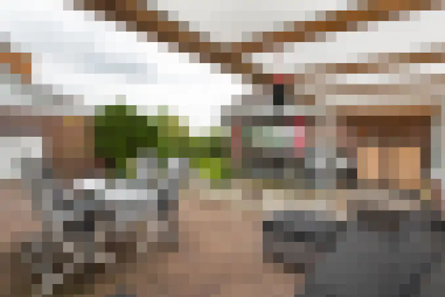 Zonnegaarde 73 Zoeterwoude thumbnail 22