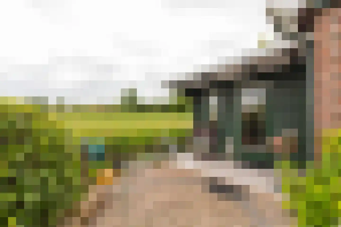 Zonnegaarde 73 Zoeterwoude thumbnail 27