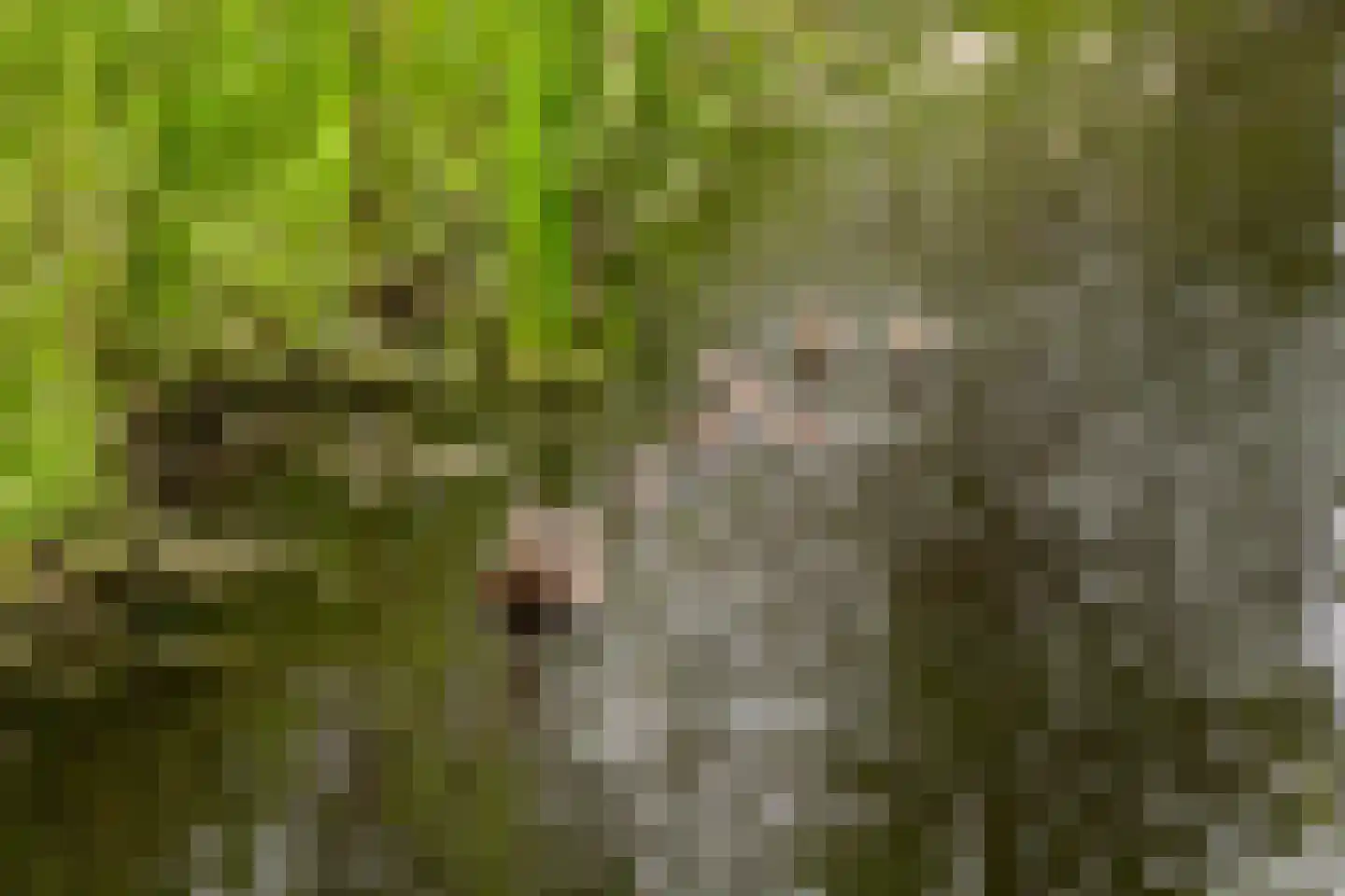 Zonnegaarde 73 Zoeterwoude thumbnail 30