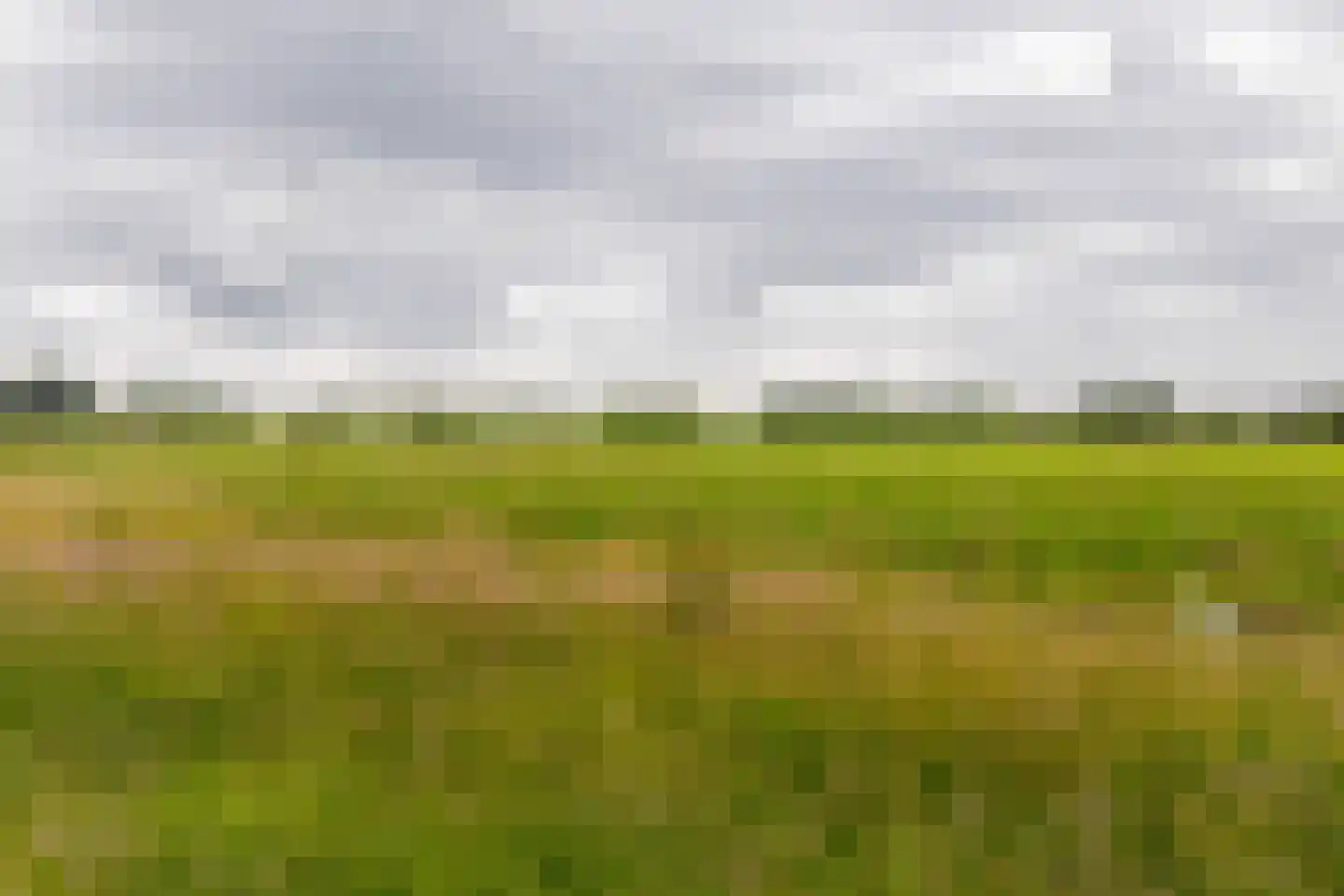 Zonnegaarde 73 Zoeterwoude thumbnail 33