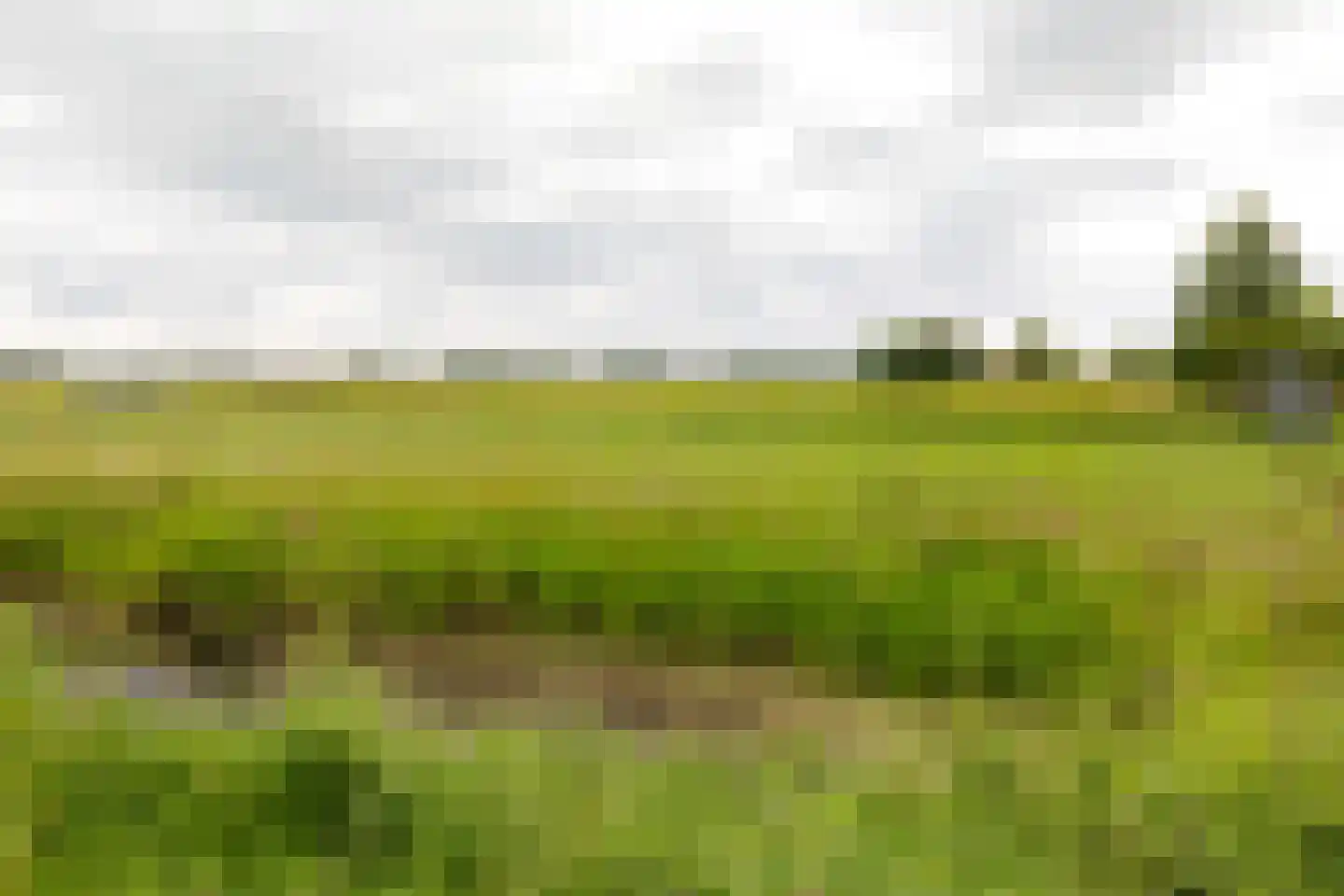 Zonnegaarde 73 Zoeterwoude thumbnail 34