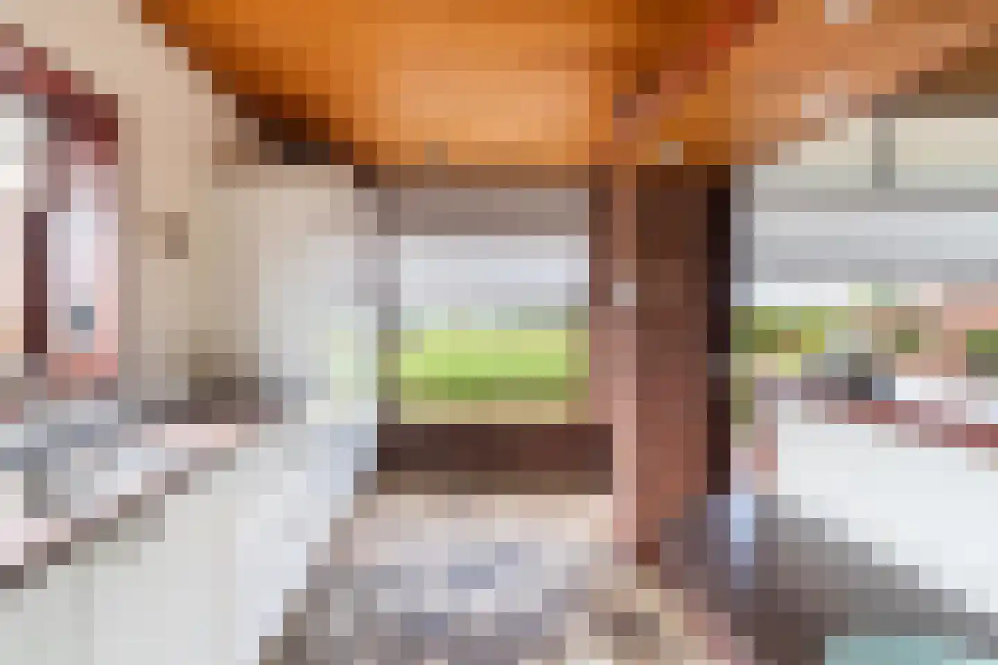Zonnegaarde 83 Zoeterwoude thumbnail 16