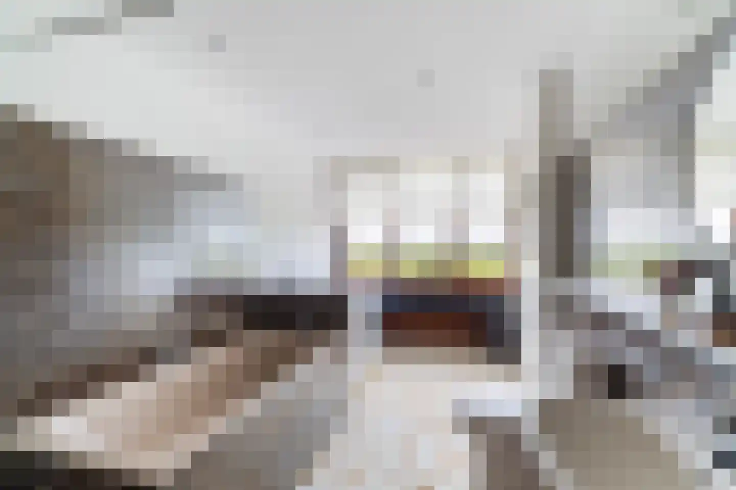 Zonnegaarde 83 Zoeterwoude thumbnail 19