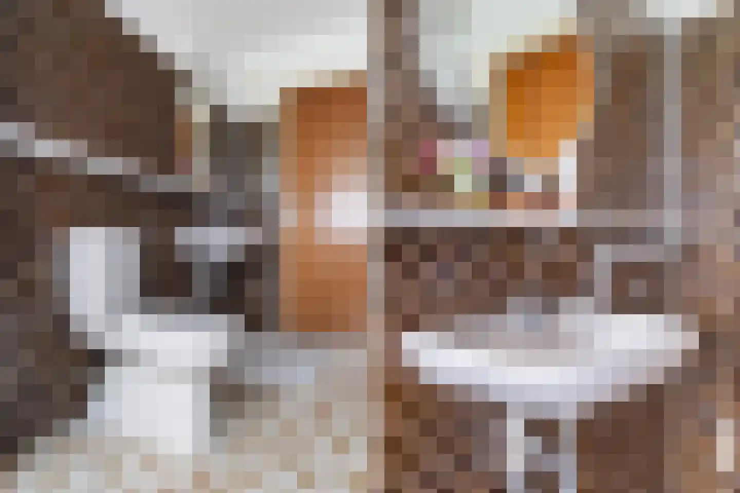 Zonnegaarde 83 Zoeterwoude thumbnail 20