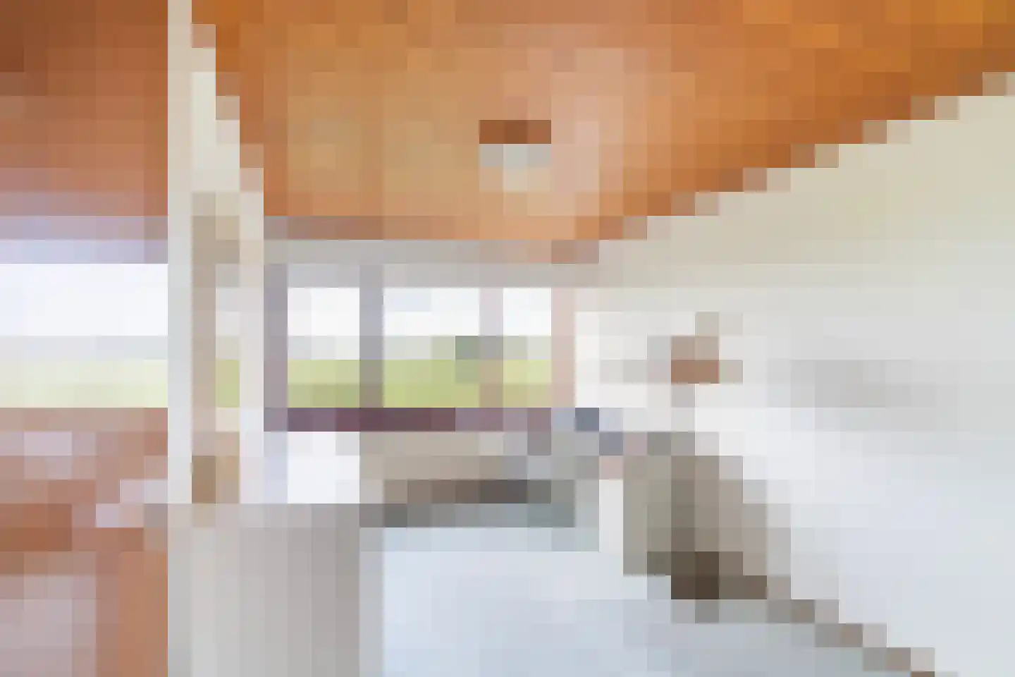 Zonnegaarde 83 Zoeterwoude thumbnail 25