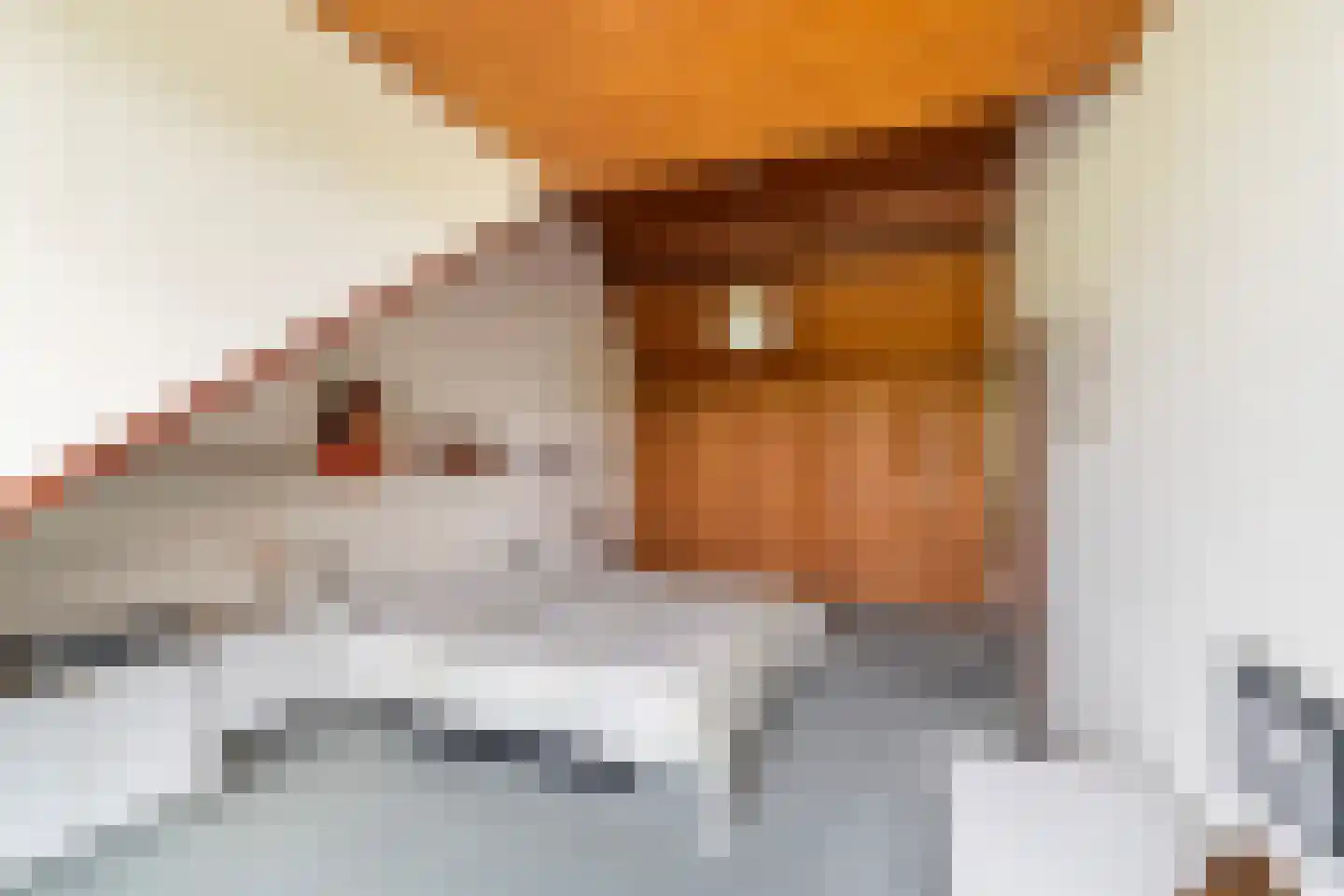 Zonnegaarde 83 Zoeterwoude thumbnail 27