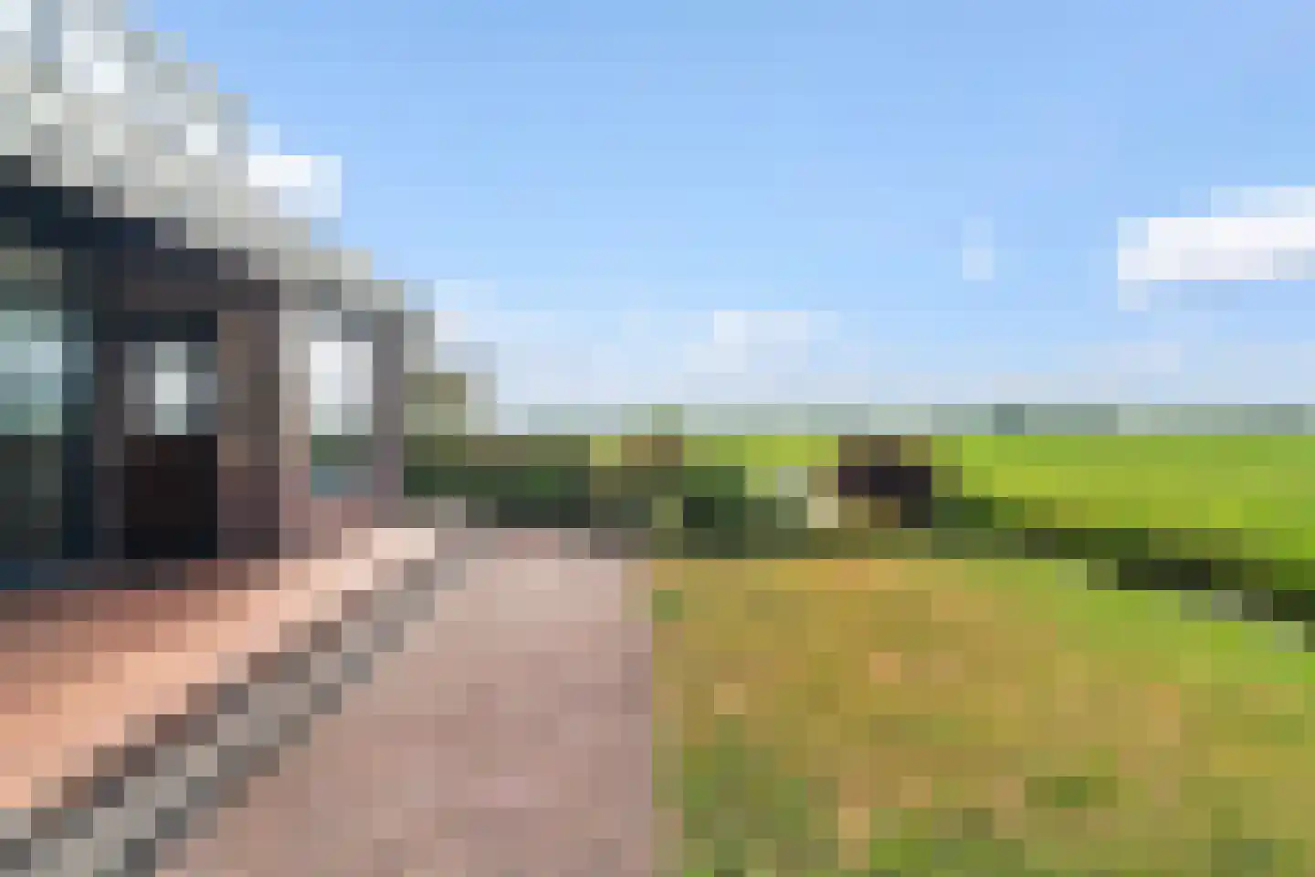 Zonnegaarde 83 Zoeterwoude thumbnail 29