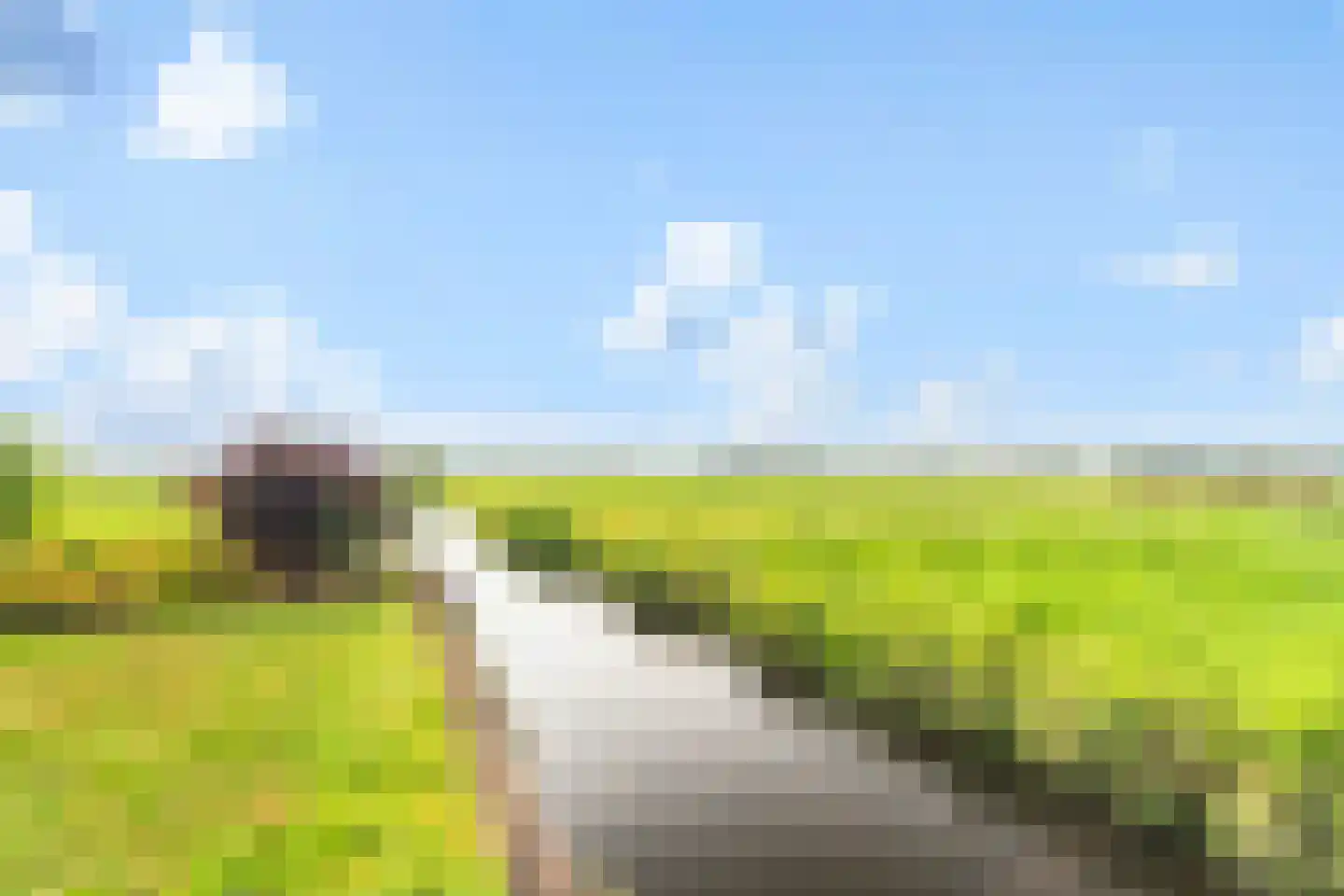 Zonnegaarde 83 Zoeterwoude thumbnail 31
