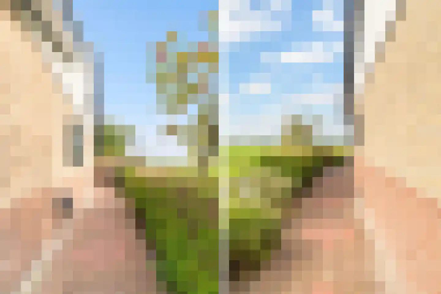 Zonnegaarde 83 Zoeterwoude thumbnail 32