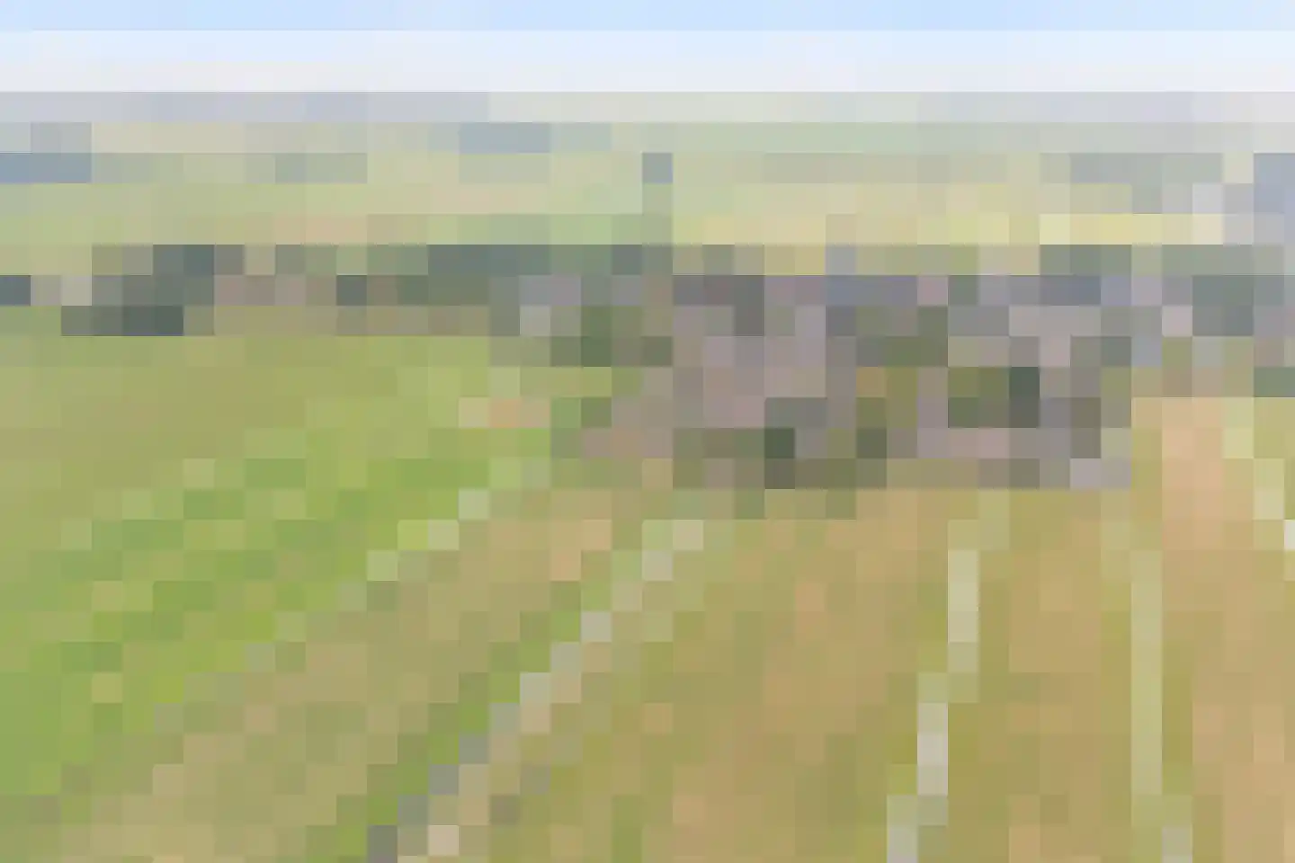 Zonnegaarde 83 Zoeterwoude thumbnail 38