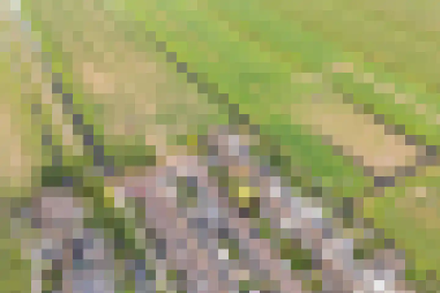 Zonnegaarde 83 Zoeterwoude thumbnail 39