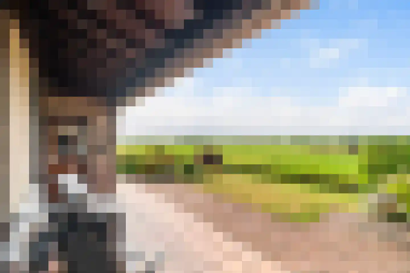 Zonnegaarde 83 Zoeterwoude thumbnail 4