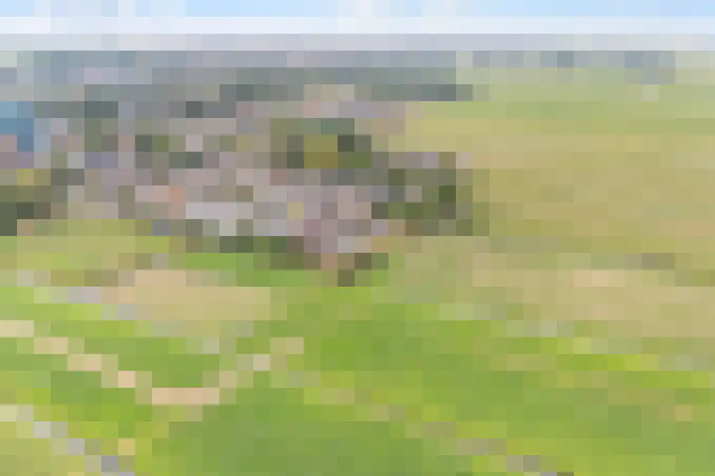 Zonnegaarde 83 Zoeterwoude thumbnail 41