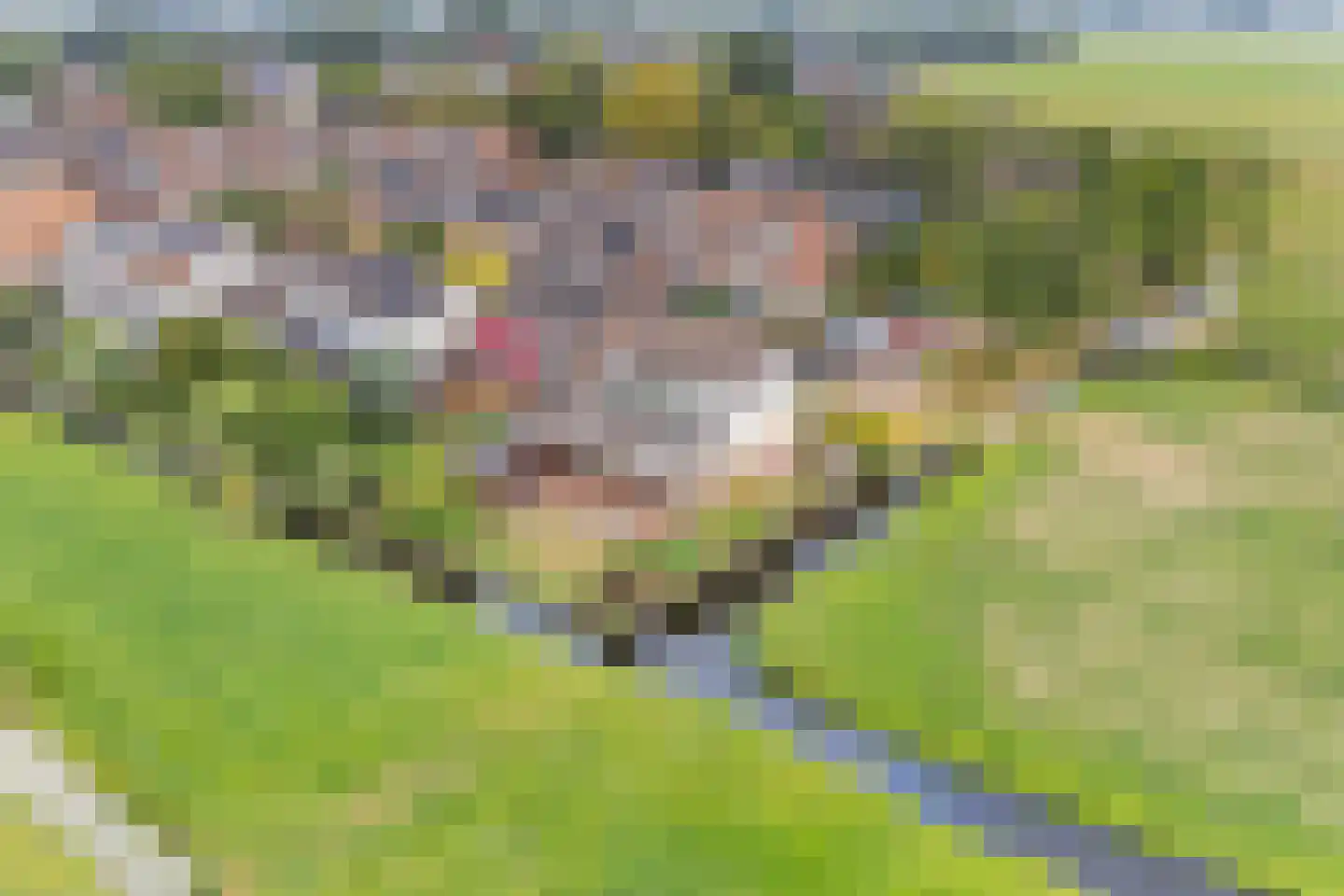 Zonnegaarde 83 Zoeterwoude thumbnail 43