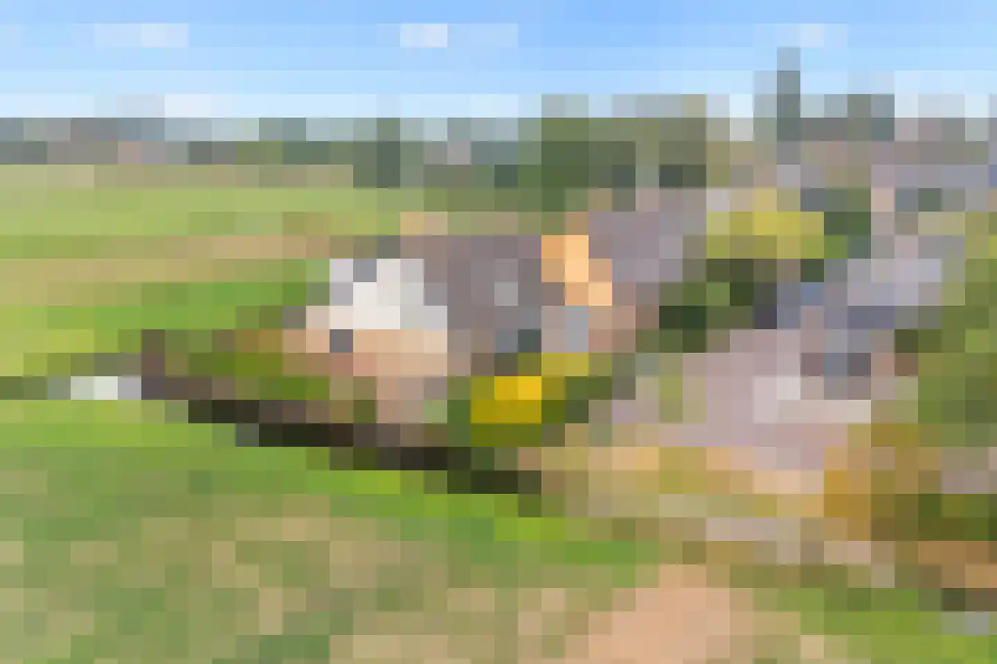 Zonnegaarde 83 Zoeterwoude thumbnail 46