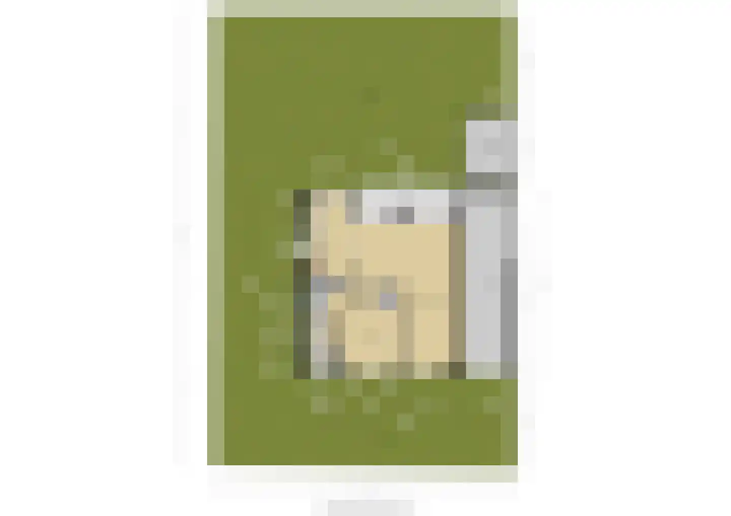 Zonnegaarde 83 Zoeterwoude thumbnail 49
