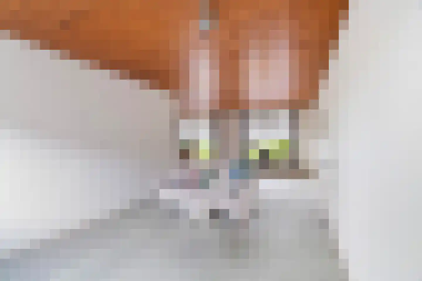 Zonnegaarde 83 Zoeterwoude thumbnail 8