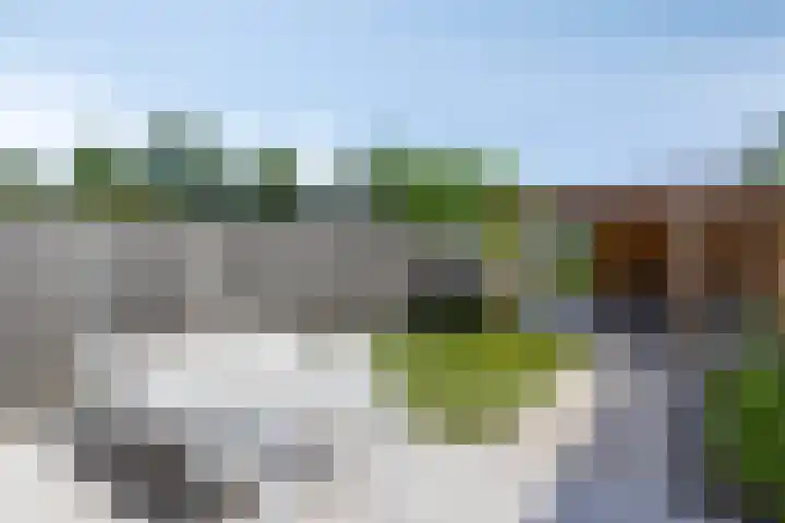 Zonneglans 4 Boxtel thumbnail 20