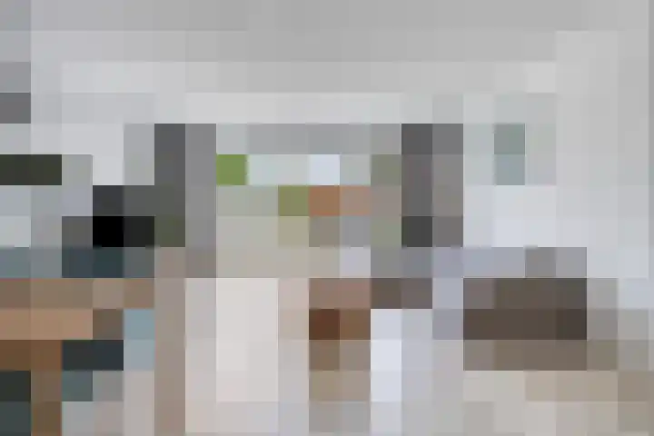 Zonneglans 4 Boxtel thumbnail 4