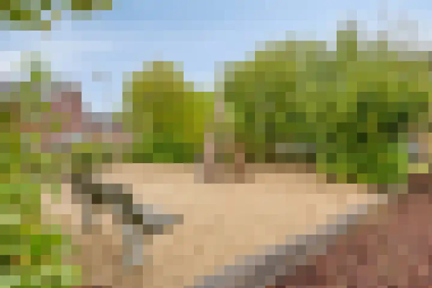 Zonnegloed 16 Boxtel thumbnail 29