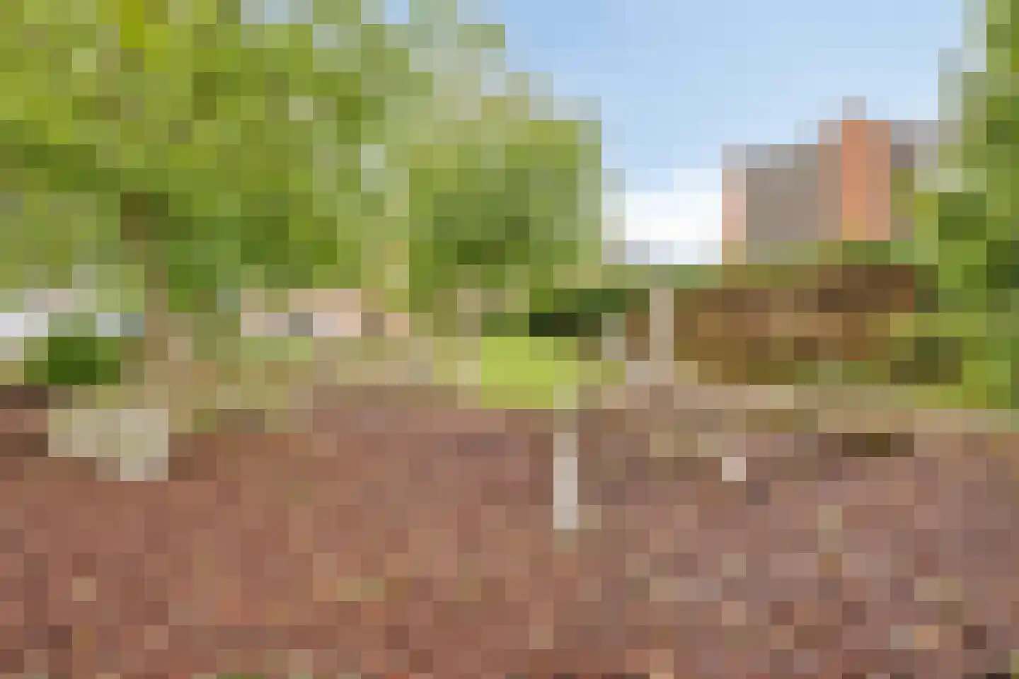 Zonnegloed 16 Boxtel thumbnail 30