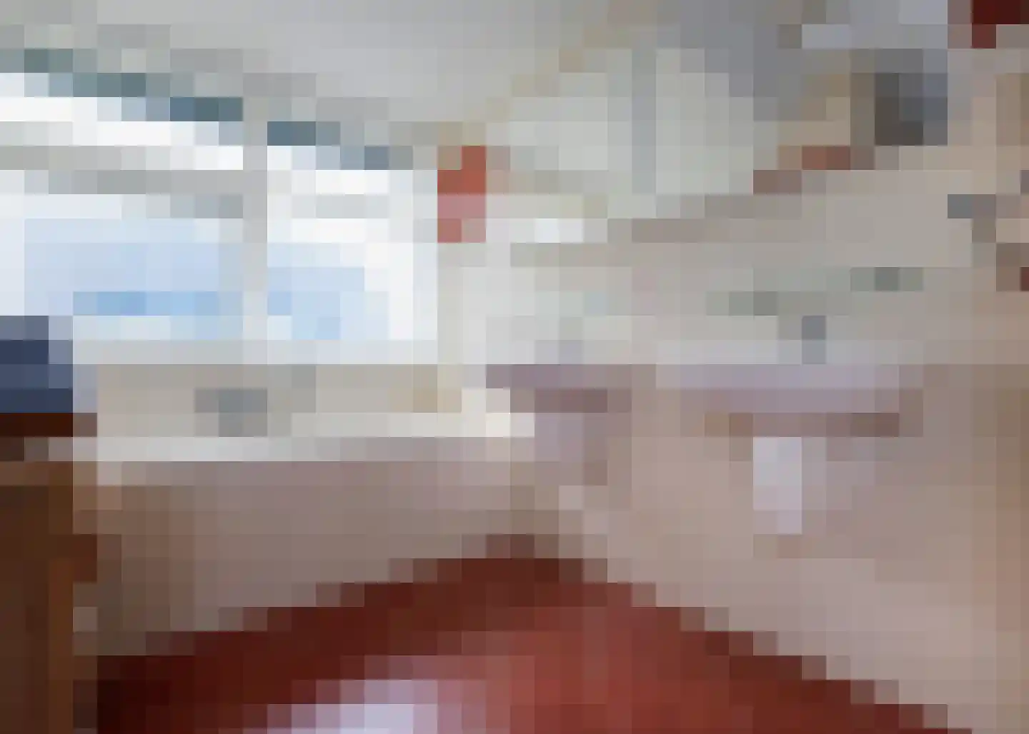 Zonnegloren 12 Heerhugowaard thumbnail 32
