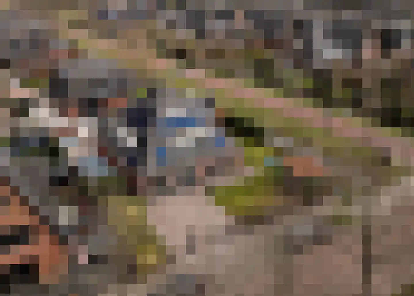 Zonnegloren 12 Heerhugowaard thumbnail 54